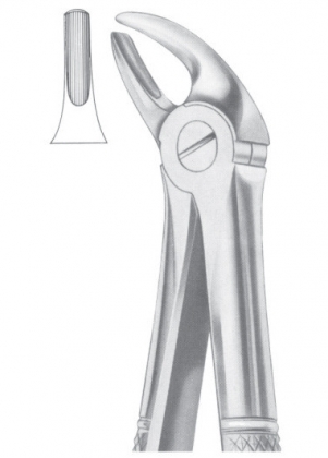 Extracting Forceps