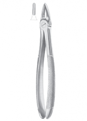 Extracting Forceps