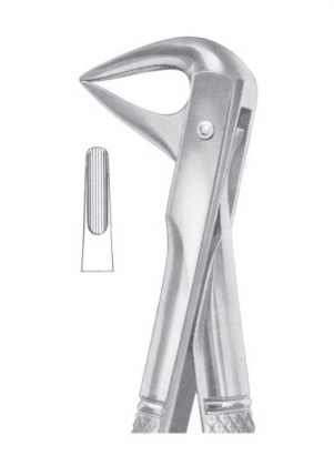 Extracting Forceps
