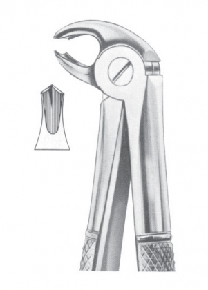 Extracting Forceps