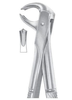 Extracting Forceps