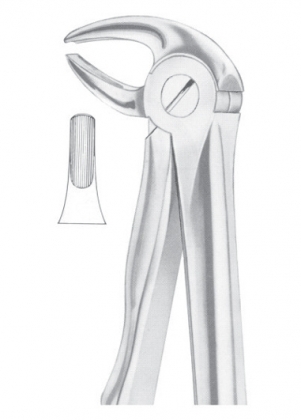 Extracting Forceps English Pattern