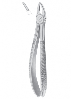 Extracting Forceps