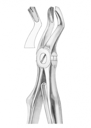 Extracting Forceps English Pattern