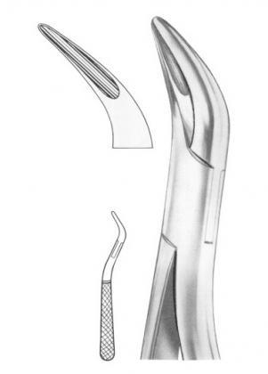 Extracting Forceps English Pattern