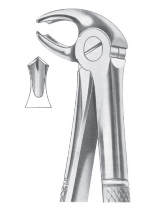 Extracting Forceps