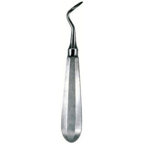 Flohr Root Elevator, Right, 20cm, (8")