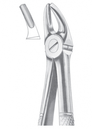 Extracting Forceps
