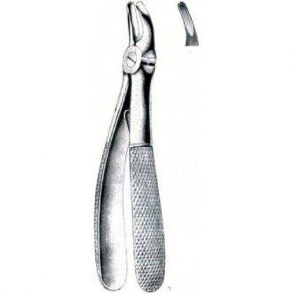 Tooth Forceps for Whelps and other small animals