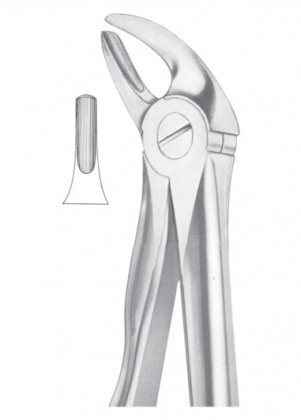 Extracting Forceps English Pattern