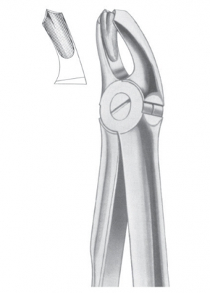Extracting Forceps English Pattern