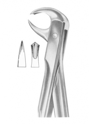 Extracting Forceps English Pattern