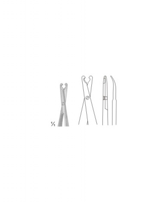 Scissors
