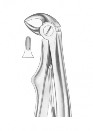 Extracting Forceps English Pattern