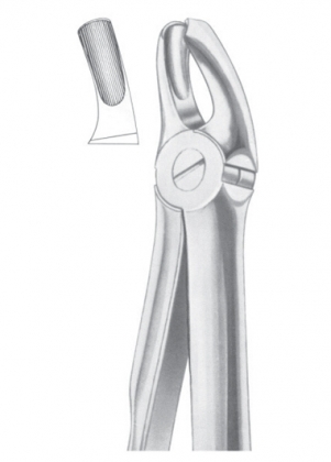 Extracting Forceps English Pattern